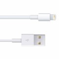 Apple USB To Lightning Cable