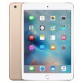 دوربین اپل آیپد مینی Apple iPad mini 3