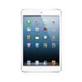 فلت شارژ اپل آیپد مینی Apple iPad mini Wi-Fi